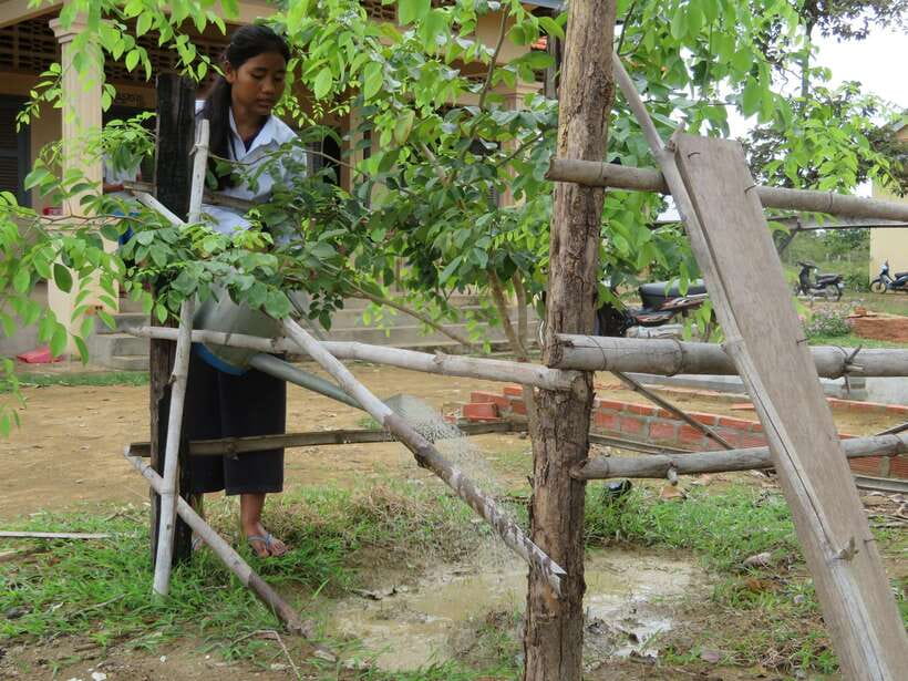 Back to Basics: Village Life Tour from Siem Reap - Why This Village Tour Feels Different From Temple Sightseeing