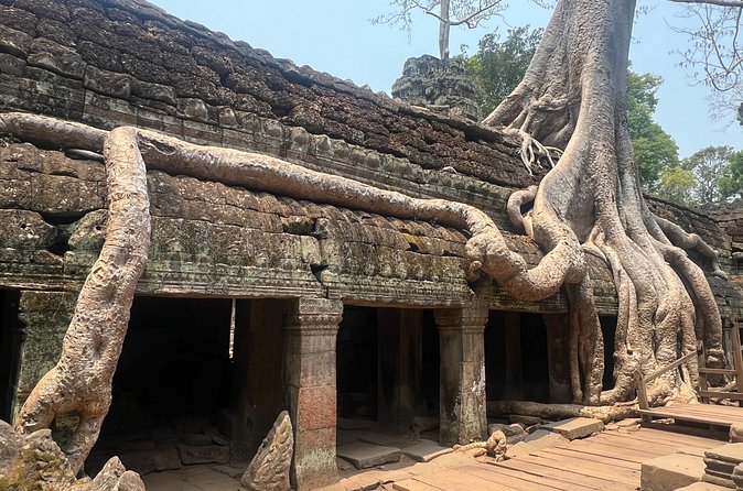 Bangkok to Angkor Wat 2 Days 1 Night by Flight - Angkor Wat on the second morning