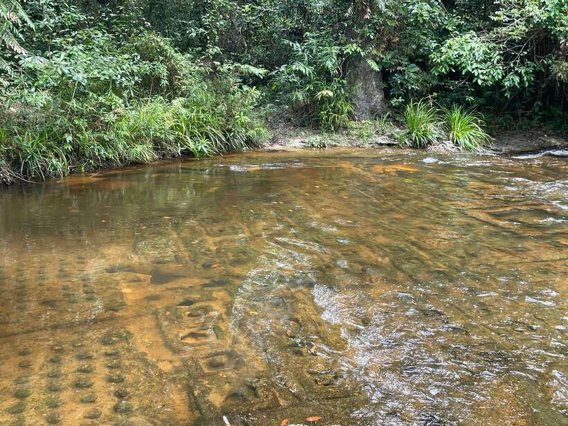 Banteay Srei, Kulen Waterfall & Beng Mealea Small-Group Tour - Kulen Waterfall: bring a swimsuit