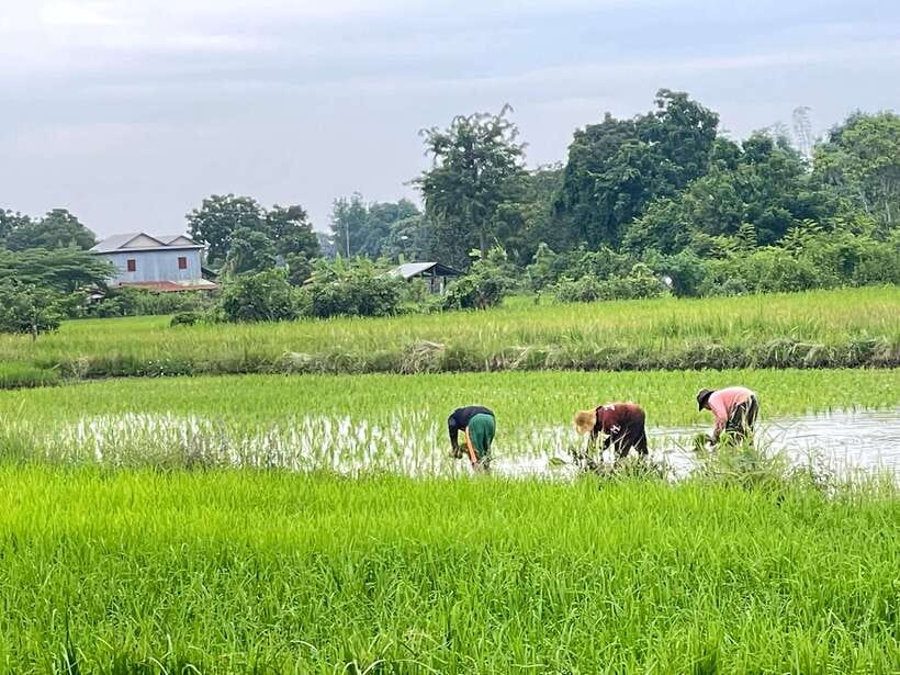 Battambang: Bamboo Train, Bat Cave and Killing Cave Tour - What your guide adds to the $12 cost