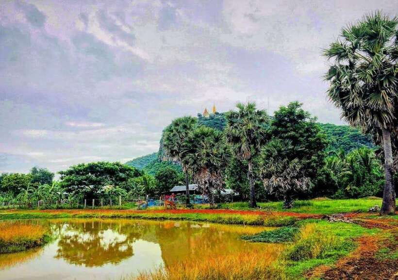 Battambang: Bamboo Train, Bat Cave, Killing Cave by Tuk Tuk - Monkeys, mountain views, and the wait for sunset