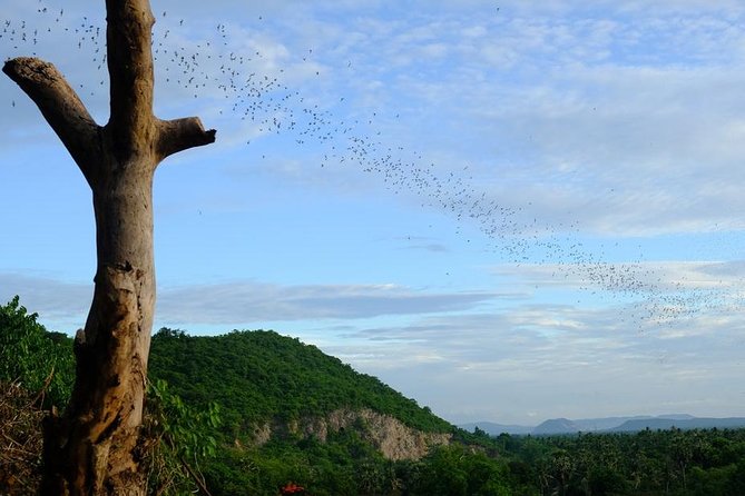 Battambang Full Day Tour from Siem Reap - Bamboo Train, Killing Cave & Sunset - Food, water, and what the $132.31 price buys