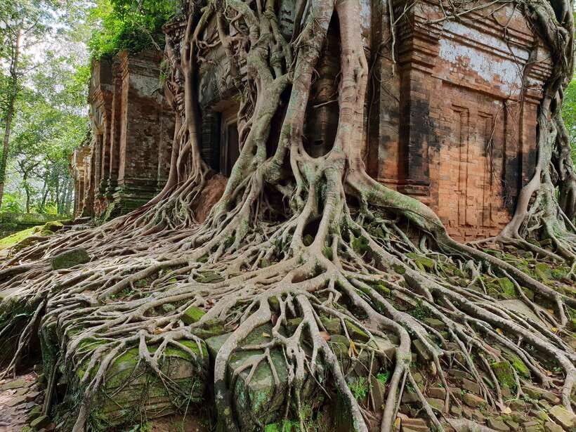 Beng Mealea, Koh Ker & Floating village Day Tour - Final call: a strong choice beyond the main temples