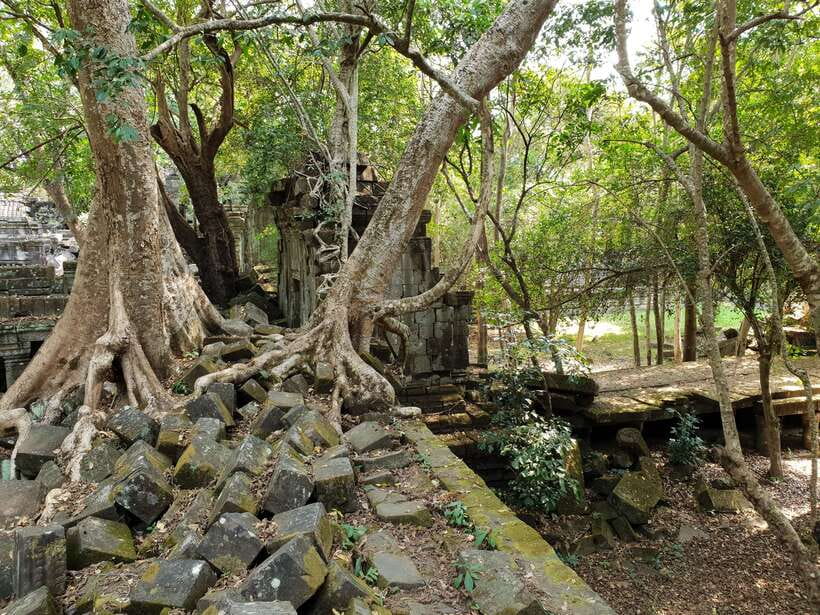 Beng Mealea, Koh Ker & Floating village Day Tour - Beng Mealea, where the jungle takes over