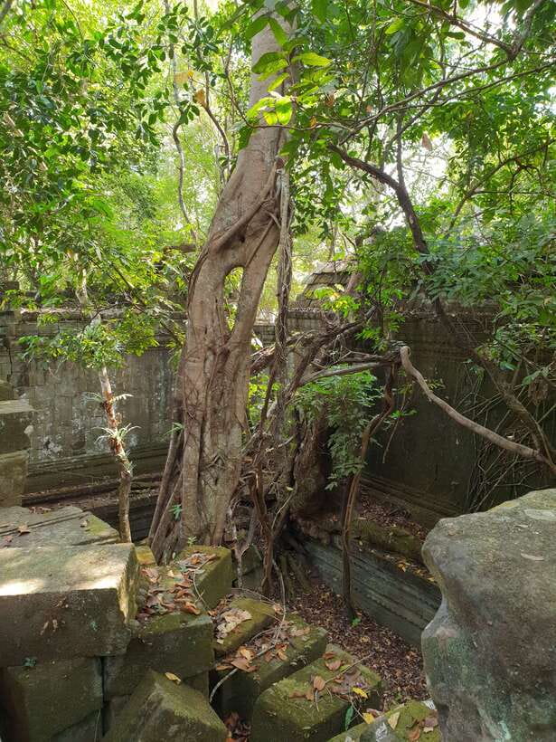 Beng Mealea, Koh Ker & Floating village Day Tour - Kompong Khleang and life on Tonle Sap