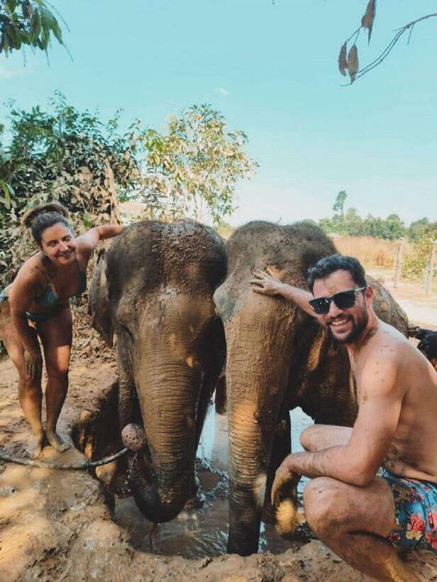 Cambodia Elephant Sanctuary and Banteay Srey Temple Tour - Why this unusual Siem Reap combination works