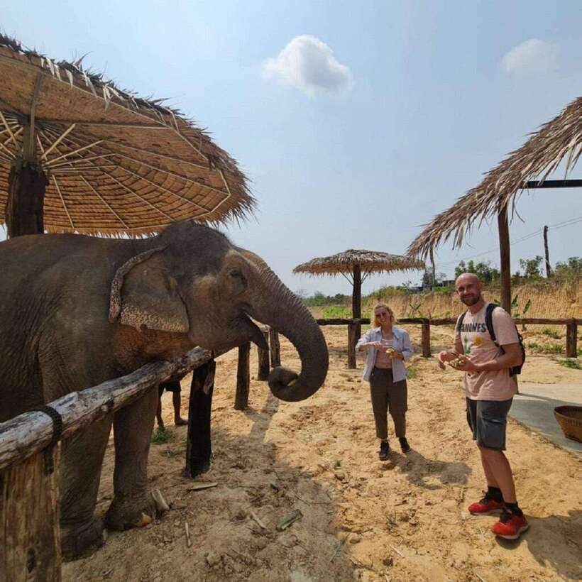 Cambodia Elephant Sanctuary and Banteay Srey Temple Tour - FAQ