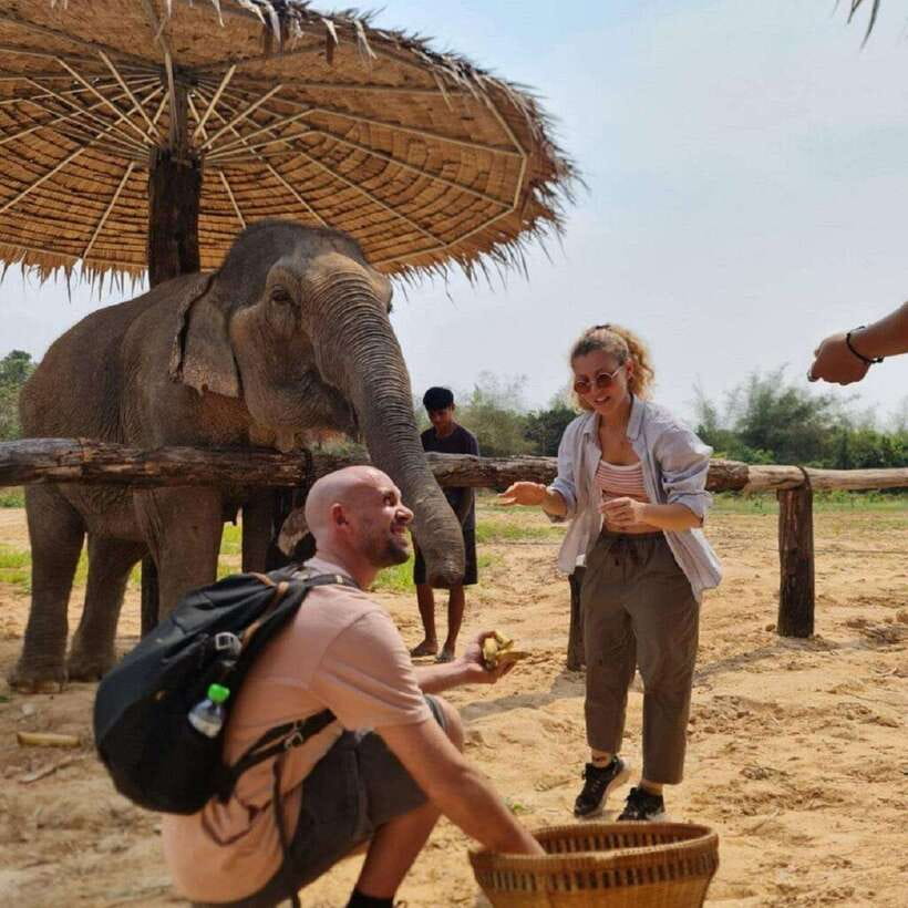 Cambodia Elephant Sanctuary and Banteay Srey Temple Tour - Hotel pickup and the road from Siem Reap
