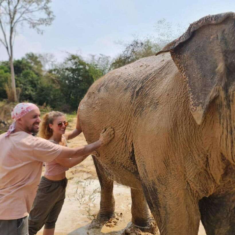 Cambodia Elephant Sanctuary and Banteay Srey Temple Tour - Banteay Srei and the Citadel of Women