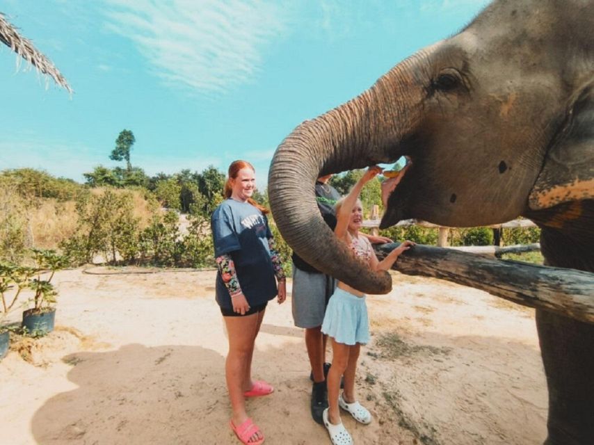 Cambodia Elephant Sanctuary and Banteay Srey Temple Tour - Food, timing, and the real value of $71