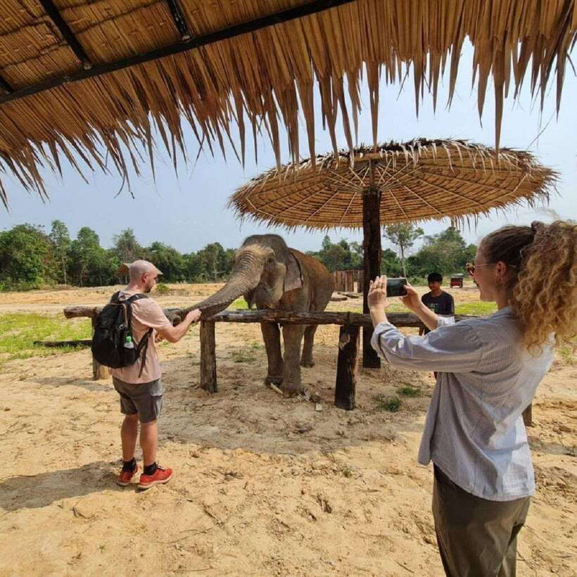 Cambodia Elephant Sanctuary and Banteay Srey Temple Tour - Who should book this experience?
