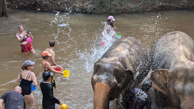Cambodia Elephant Sanctuary Include Hotel Transfer Roundtrip - Booking, cancellations, and useful planning details