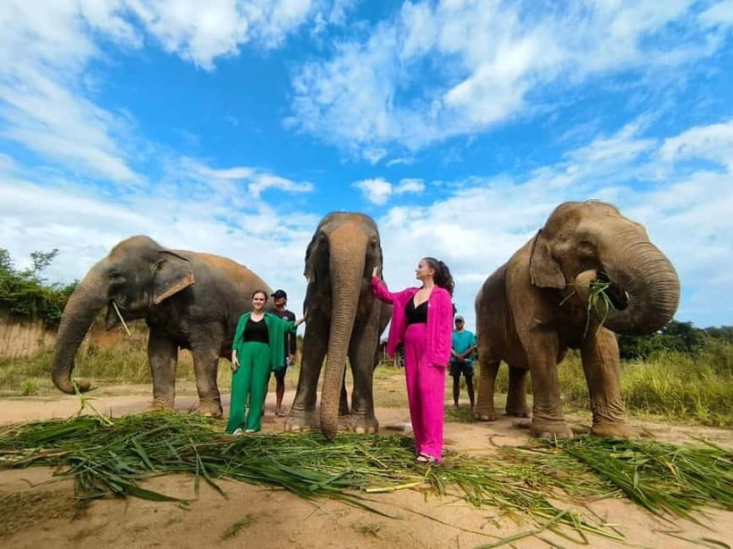 Cambodia Elephants Haft Day Experiences from Siem Reap - Why this elephant experience feels different