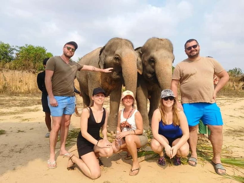 Cambodia Elephants Haft Day Experiences from Siem Reap - Arriving at Cows for Cambodia Farm