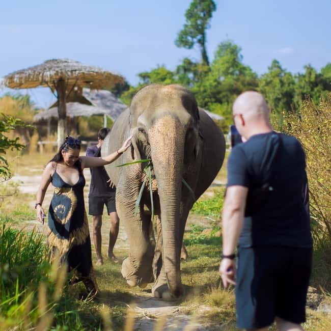 Cambodia Elephants Haft Day Experiences from Siem Reap - Fruit, water, and a slower finish