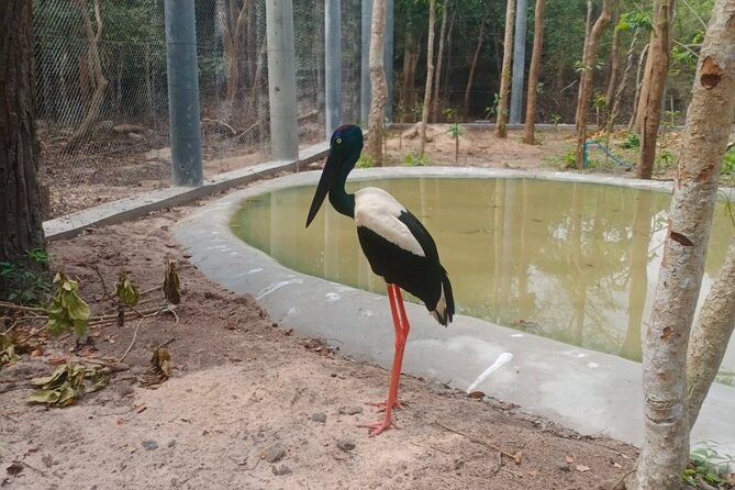 Cambodia Wildlife Sanctuary and Countryside Tour - Chisor Mountain Temple and the final views