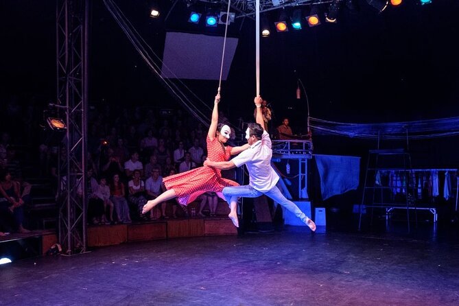 Cambodian Circus Show in Siem Reap by Phare with Hotel Pick-Up - Why the Social Mission Matters
