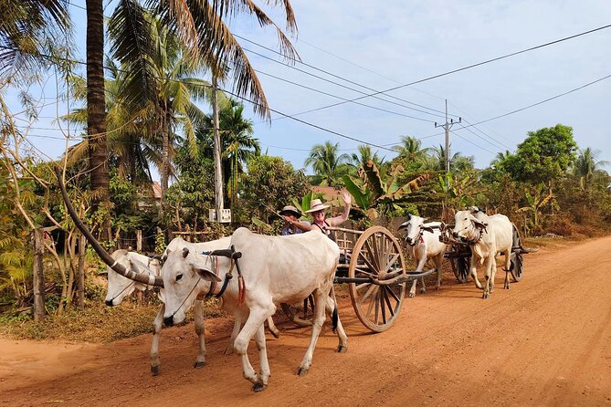 Cambodian Cooking Class and Oxcart Ride with Local Village Tour - Is $94.05 a good value?