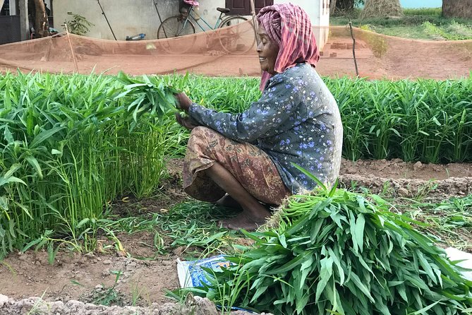 Cambodian Village Life Tour with Lady Tuk Tuk & Local Guide - Krabei Riel: gardens, farmers, and a village market