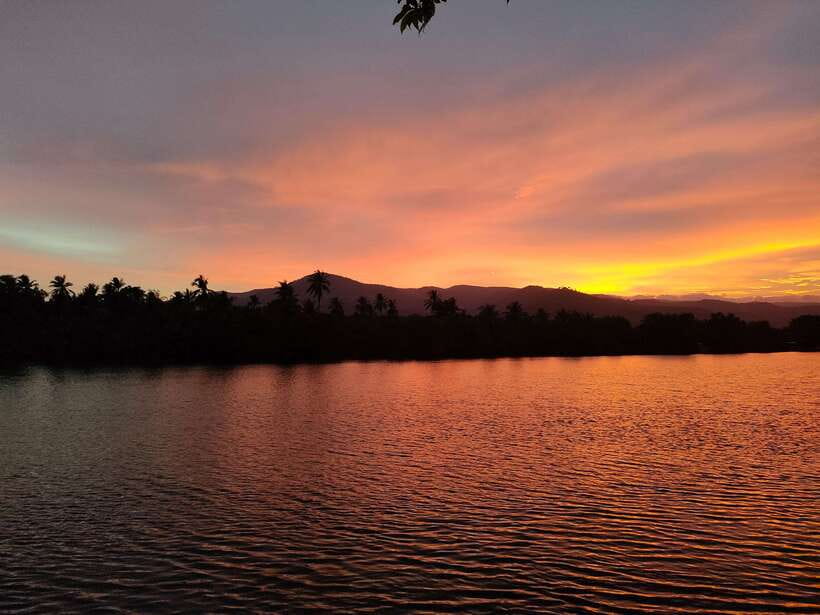Countryside tours include pepper plantations - Salt fields: a brief look at Kampot’s working countryside
