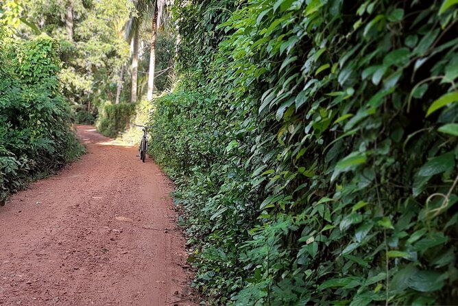 Cultural Cycling Tour - half day (8:00-11:30) - What the Cycling Is Like