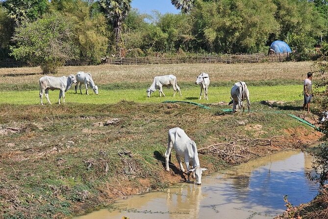 East Corner of Siem Reap - Roluos Group & Countryside - What the $50 price really covers