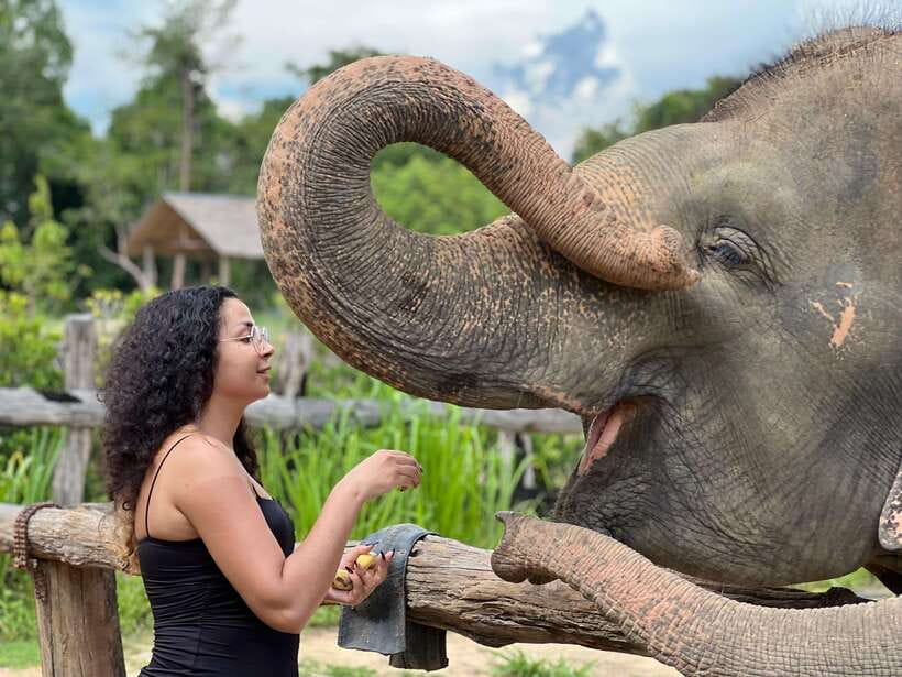 Elephant Sanctuary Cambodia, Pickup and drop off included - Preparing banana, rice, and grain snacks
