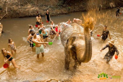 Elephant Sanctuary Cambodia, Pickup and drop off included