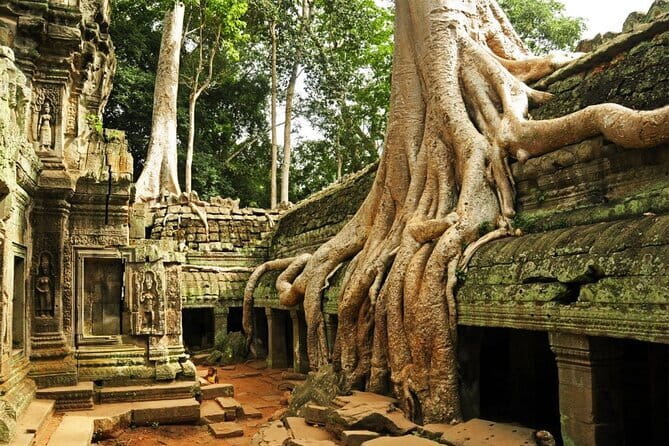 Exclusive Angkor temples and Small group temples tours - What the $19 Price Really Buys You