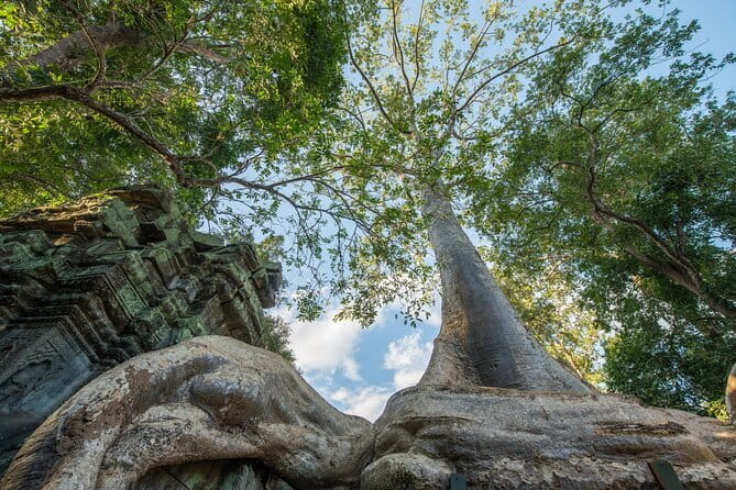 Exclusive Angkor temples and Small group temples tours - Starting at Angkor Thom’s South Gate