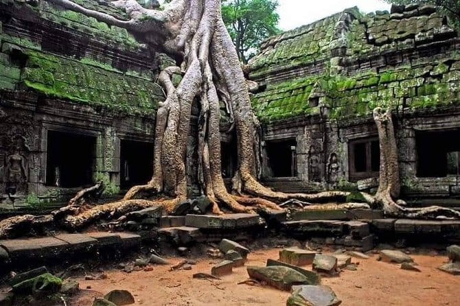 Explore Angkor Wat Sunrise Small Tour Private VIP Car - Angkor Thom and the smiling faces of Bayon