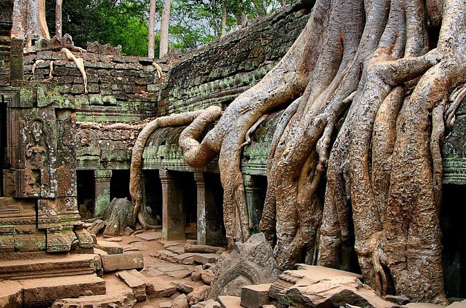 Explore Angkor Wat Temple , Bayon Temple and Jungle Temple Ta-Prohm - What the $43 price really covers