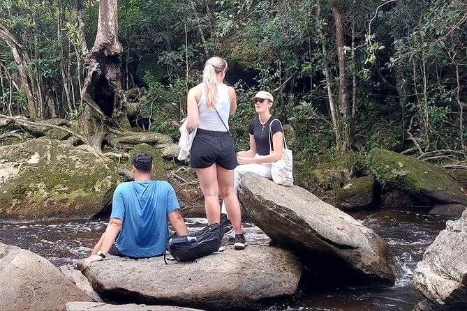 Exploring Bokor National Park Full-Day Tour from Sihanoukville - Leaving Sihanoukville at 7:30 am