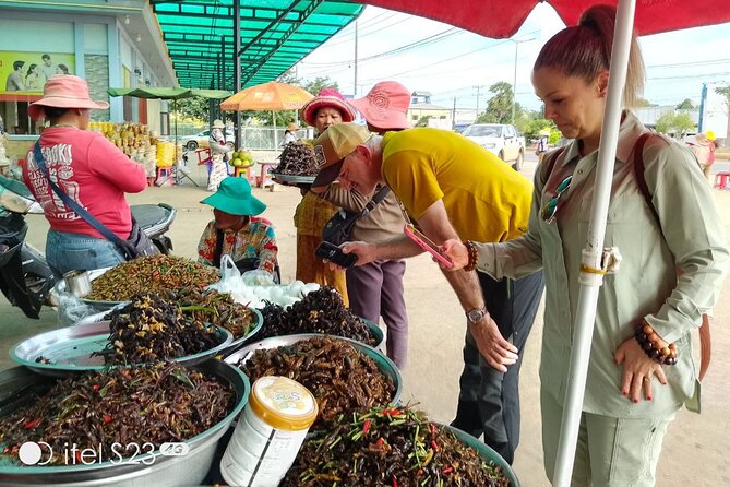 Exploring Siem Reap: Scenic Journey from Phnom Penh or Vice Versa - Price, timing, and the one-way catch