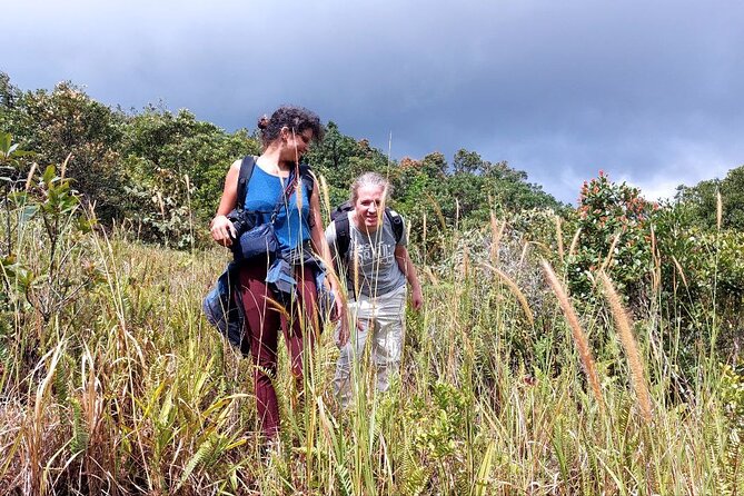 Exploring the Best of Kampot and Kep in a Full-Day Tour - What the guides add to the day
