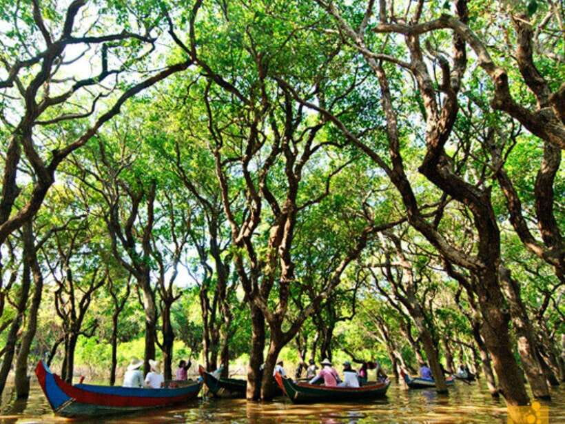 Floating Village-Mangroves Forest Tonle Sap Lake Boat Tour - Satcha Café and Baray Spillway