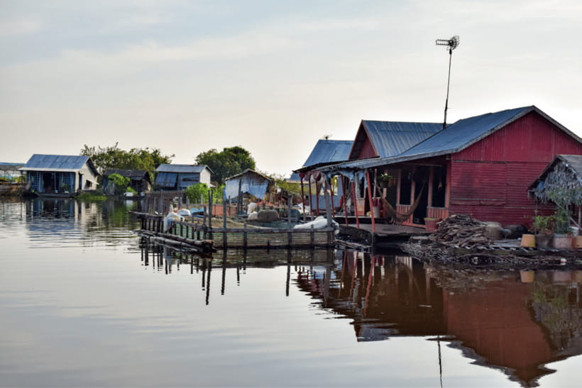 Floating Village Tour with Khmer Meal & Beer - The optional $5 mangrove boat