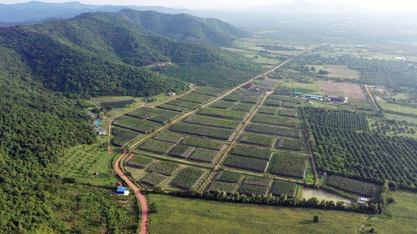 From Phnom Penh: Kampot Day Trip to Beautiful place W/ Guide - A long day that shows Kampot beyond the postcard