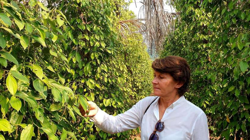 From Phnom Penh: Kampot Day Trip to Beautiful place W/ Guide - Brateak Krola and the quieter side of the route