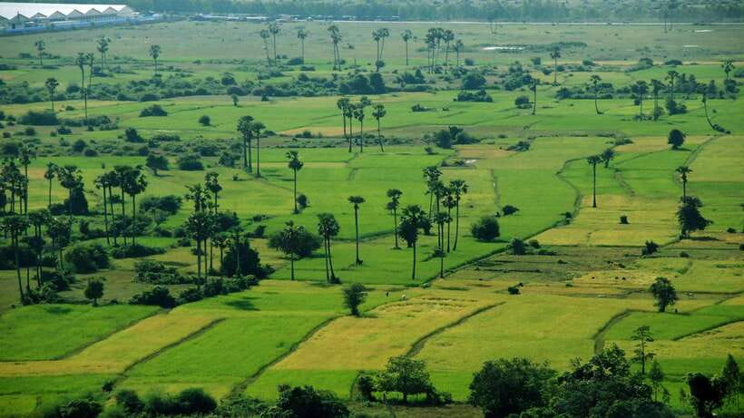 From Siem Reap: Battambang Day Trip Bamboo Train, Bats Cave - Colonial buildings and Battambang’s government past