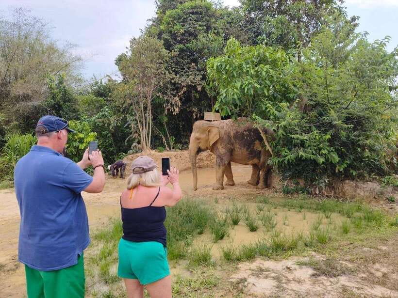 From Siem Reap: Elephant Sanctuary Experience with Transfers - Key points to know before you go