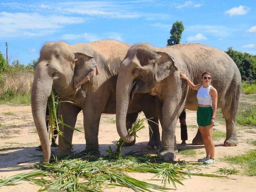 From Siem Reap: Elephant Sanctuary Experience with Transfers - The one-hour ride from Siem Reap
