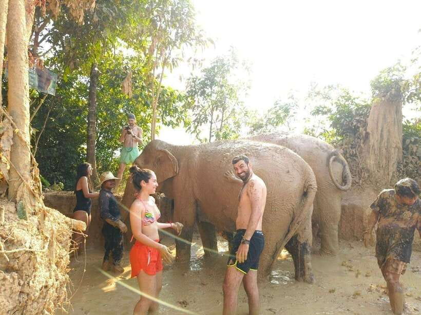 From Siem Reap: Elephant Sanctuary Experience with Transfers - Making rice balls and feeding by hand