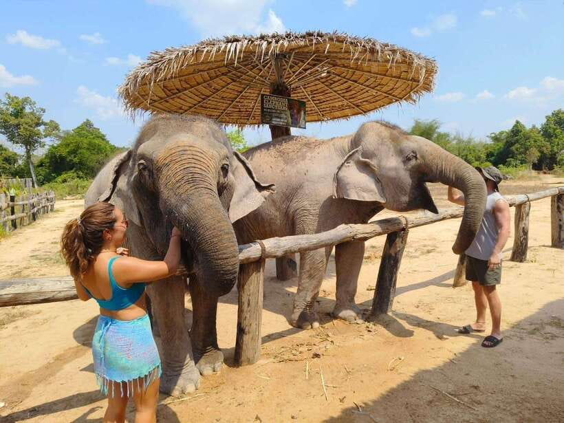 From Siem Reap: Elephant Sanctuary Experience with Transfers - What makes the animal care convincing
