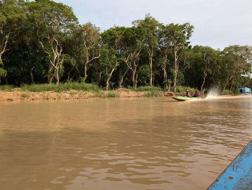 From Siem Reap: Floating Village Tour by Boat - The flooded forest canoe ride from October to January