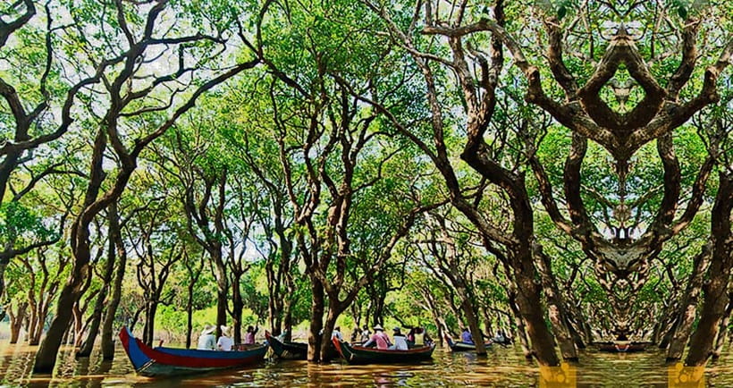 From Siem Reap: Floating Village Tour by Boat - Practical advice for a smoother visit