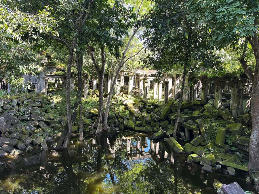 From Siem Reap: Half-Day Tour to Beng Mealea Temple - Key points to know before booking