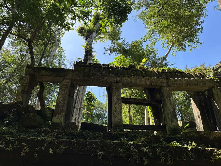 From Siem Reap: Half-Day Tour to Beng Mealea Temple - Price, temple pass, and value at $130