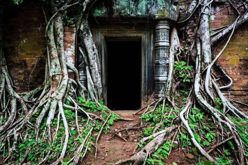 From Siem Reap: Koh Ker and Beng Mealea Temples Tour - Should you book the Koh Ker and Beng Mealea tour?
