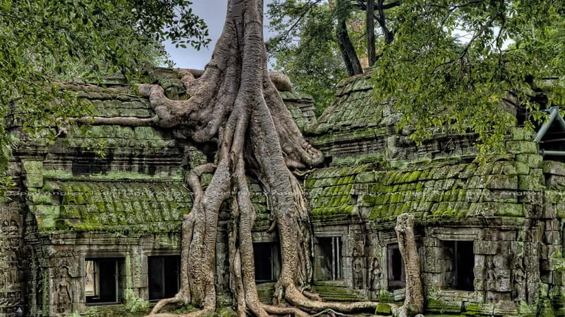 Full-Day Angkor Wat Sunrise and Sunset Private Tour - Bayon’s stone faces inside Angkor Thom